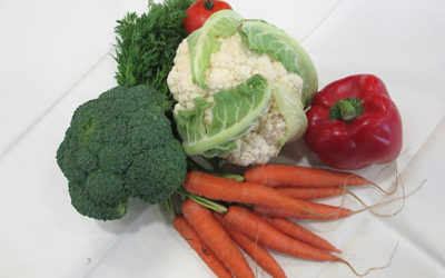 Spezialitätenmenü „Vegan“