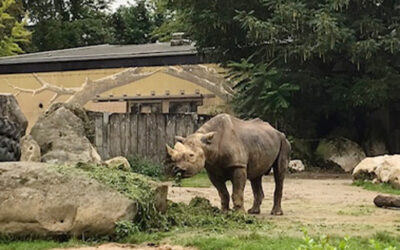 Ausflug zum Krefelder Zoo